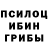 Псилоцибиновые грибы прущие грибы Samir hamcho