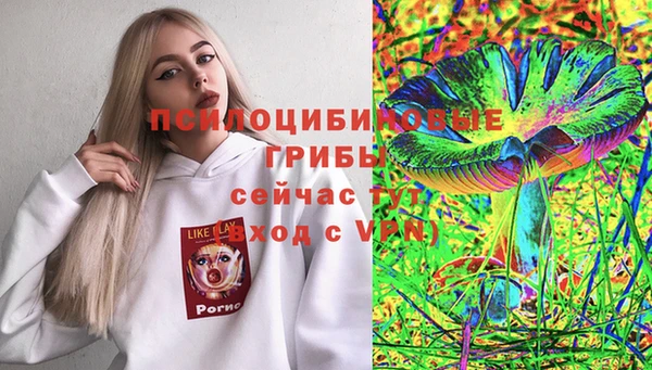 винт Алексин