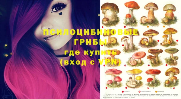винт Алексин