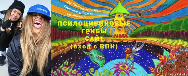 винт Алексин