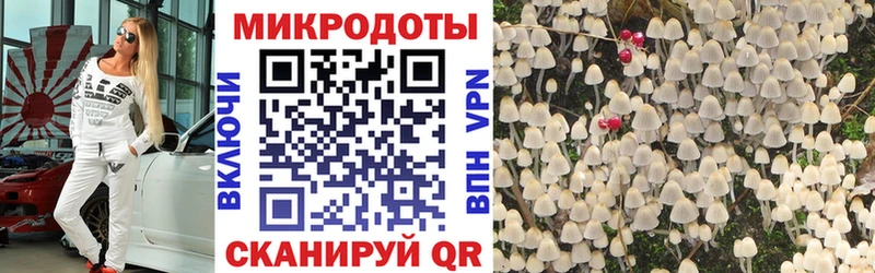 Галлюциногенные грибы прущие грибы  Лобня 